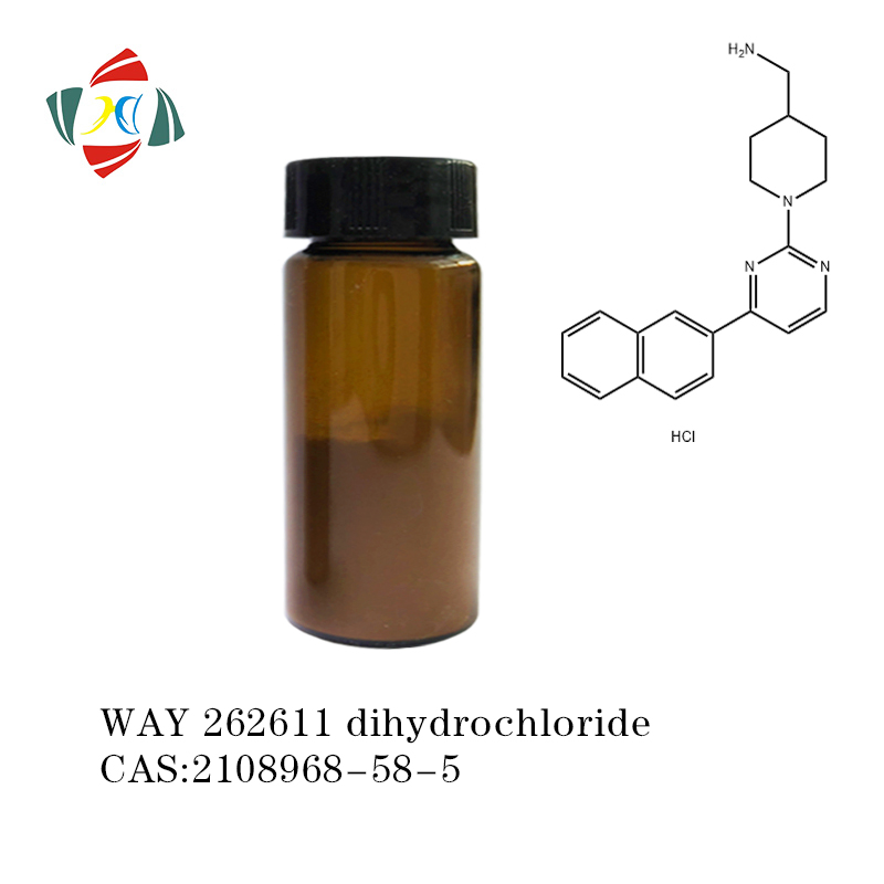 WAY 262611 dihydrochloride | DKK1 inhibitor | WAY262611 CAS 2108968-58-5