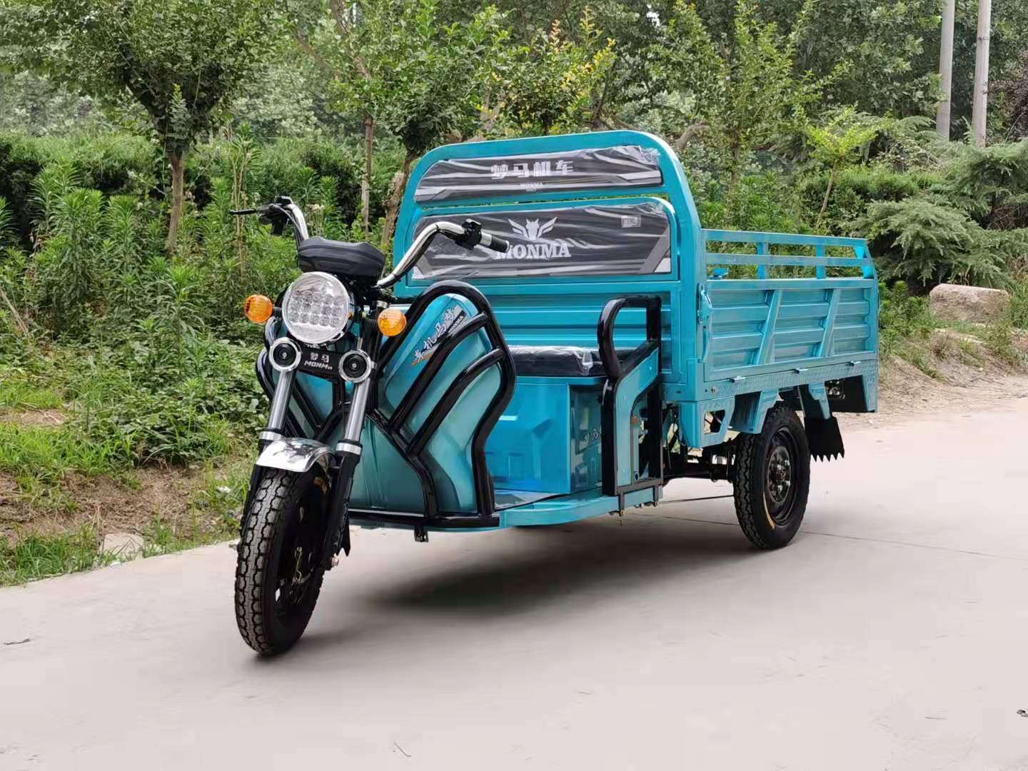 3 Ruedas bicicleta eléctrica triciclo de carga trasera con - China