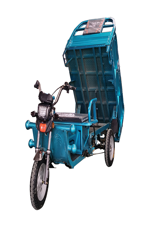 60V 1000W Motor big power three wheel electric tricycle Cargo for sale