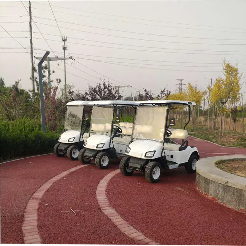 Electric high-end adult golf cart