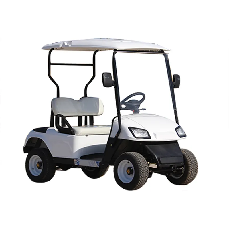 Electric high-end adult golf cart