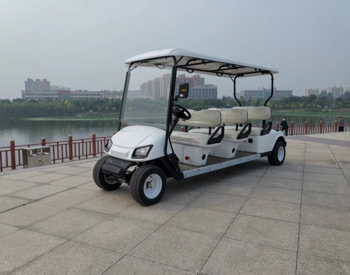 2023 latest electric golf cart with high-quality and high-tech