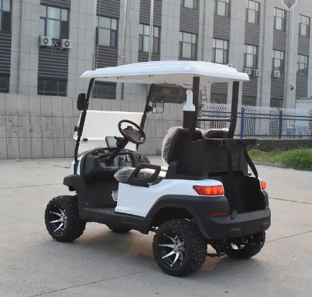 2023 new golf cart 2 people carrying people and loads pure electric environmental protection 60V72V four-wheel golf cart