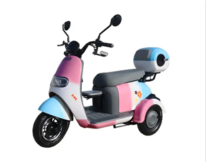 2023 Furinkazan new electric leisure tricycle