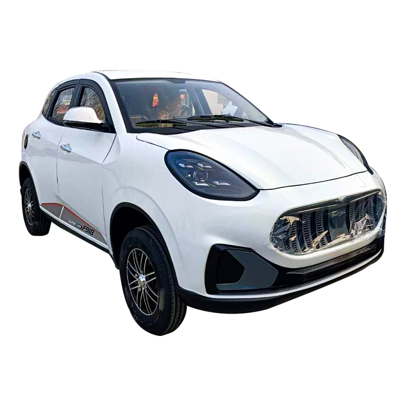 Furinka 2024 new luxury electric mini car