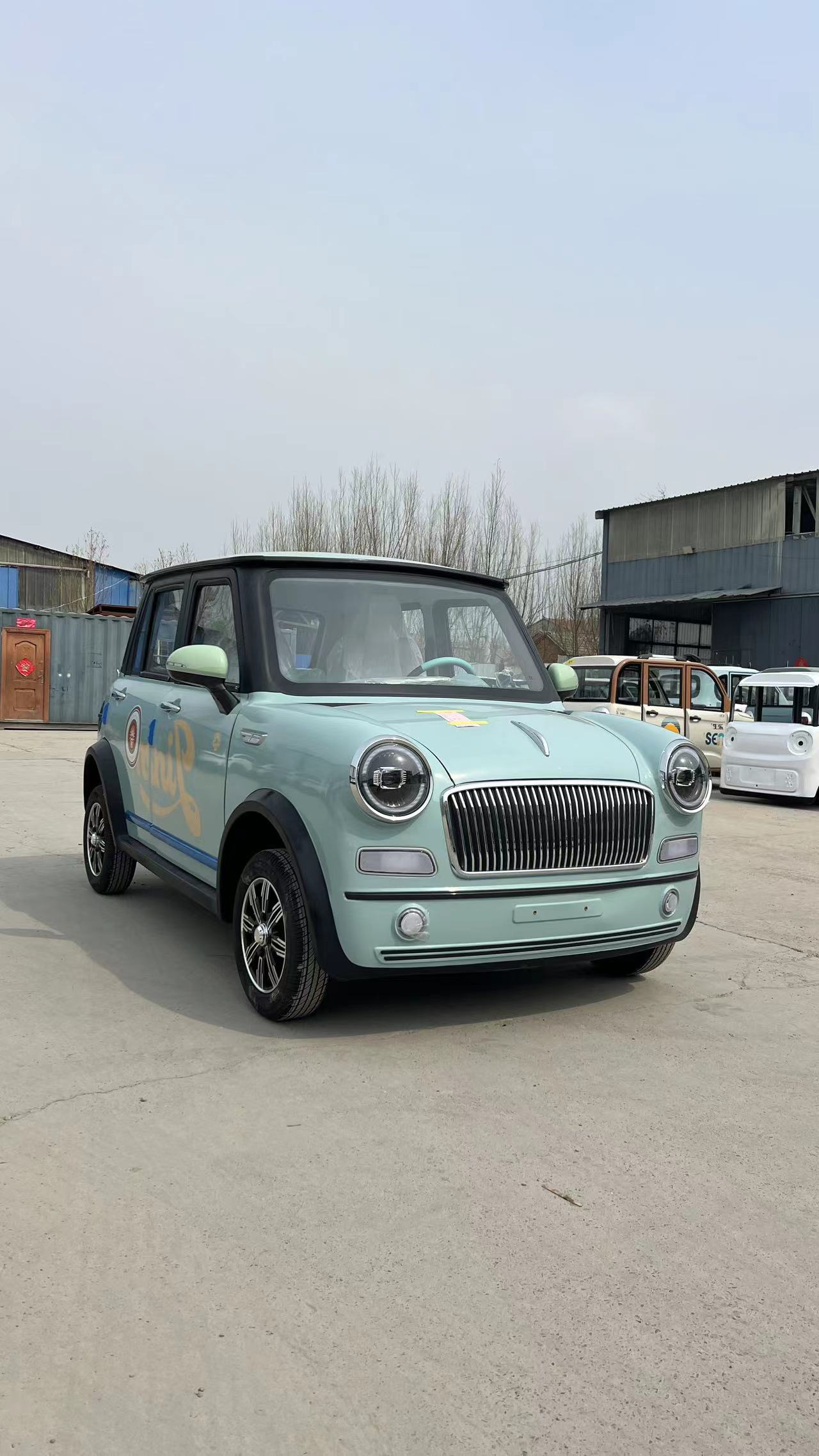 Китай Фуринка 2024 новый электрический мини-автомобиль, производитель