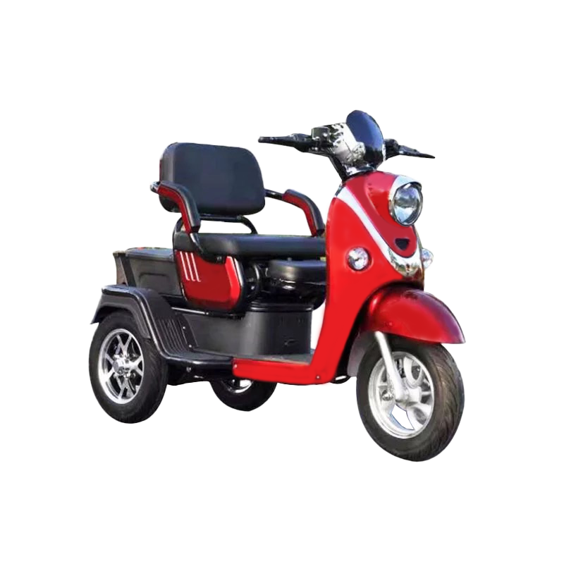 Triciclo elettrico per il tempo libero: scooter per la mobilità domestica