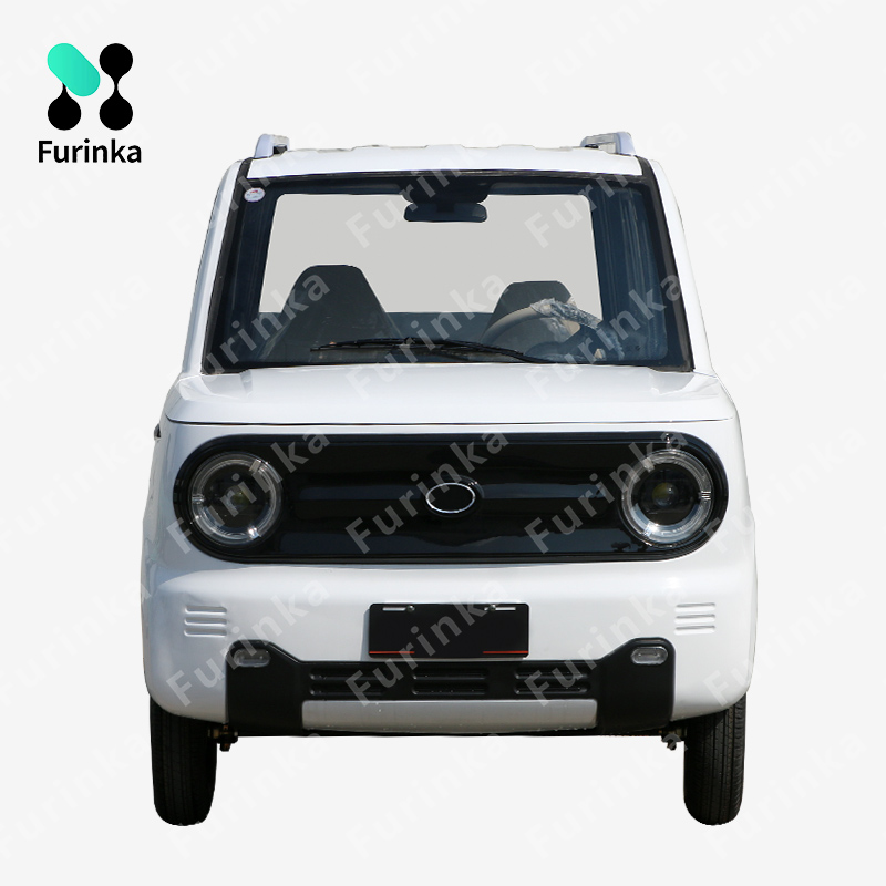 Китай Мини электромобиль Фуринказан 2024 модельного года Шерсть-ПД, производитель