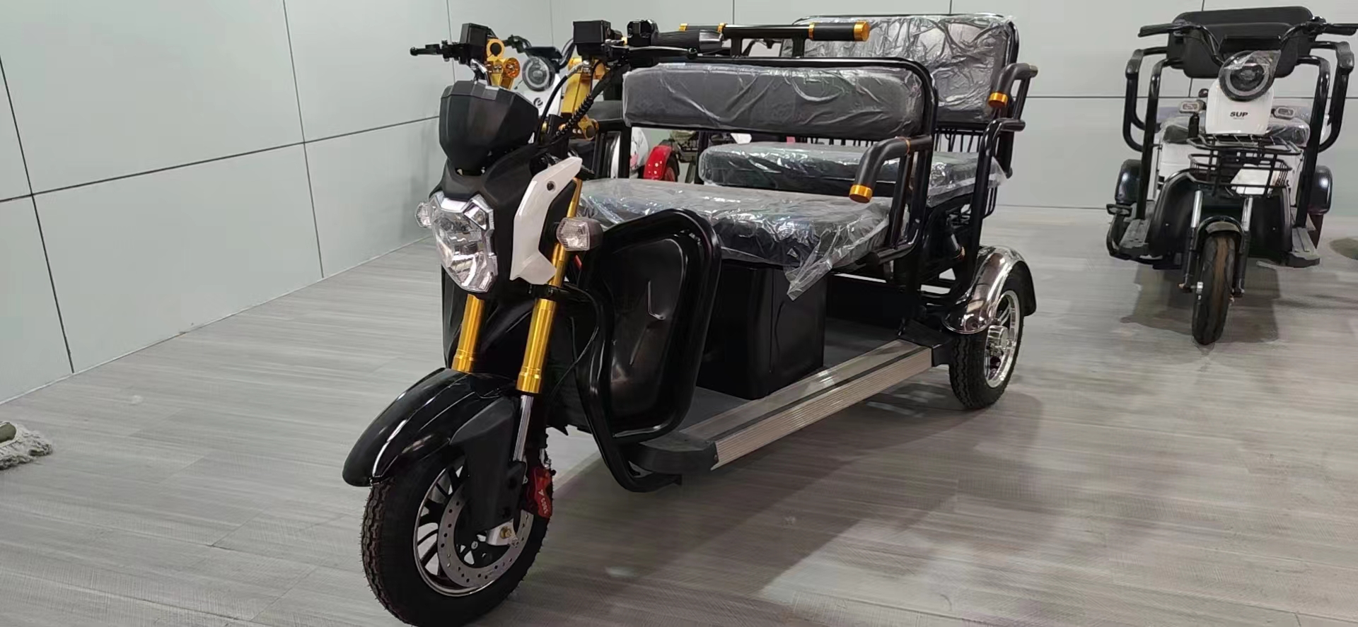 Furinka 2024 nuovo grande triciclo elettrico per il tempo libero