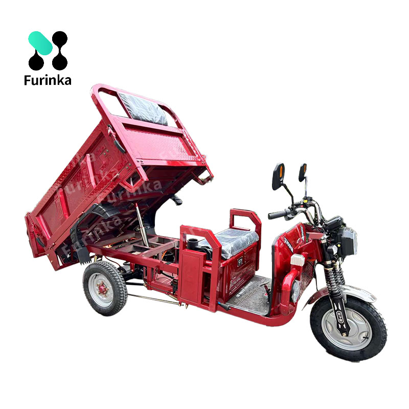 Китай Модель электрического грузового трицикла Фуринка 2024 Фур-зд, производитель