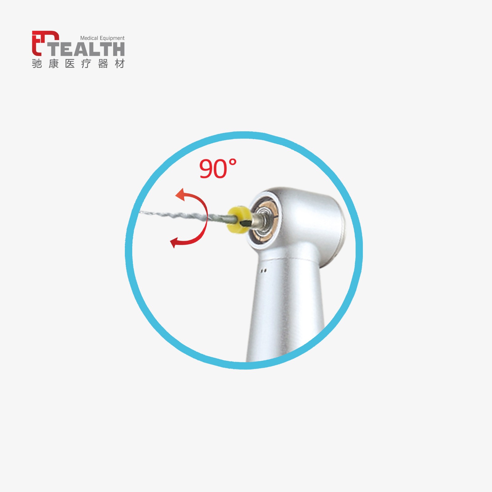 endodontics parts