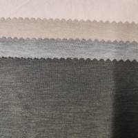 DTY Katyonik Çift Taraflı Fırçalanmış Elastik Kumaş