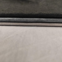 DTY Katyonik Çift Taraflı Fırçalanmış Elastik Kumaş