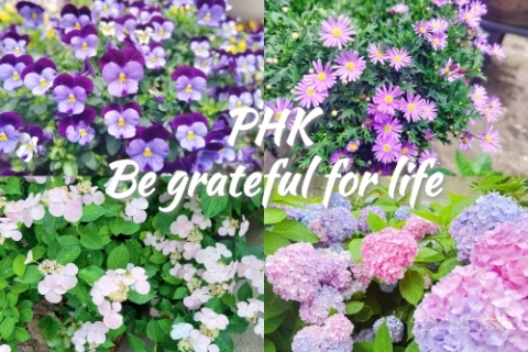Lovely Flower Garden Brightens Working Days| Knitting Factory