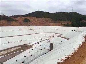 Our Composite Geomembrane Applied in A Waste Disposal Field