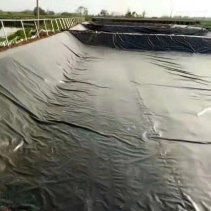 Impermeable Geomembrane for Underground Anti-corrosion Project