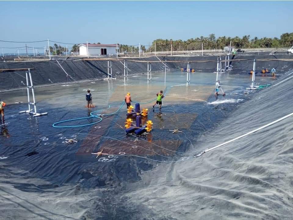 High quality HDPE pond liner made-in -china