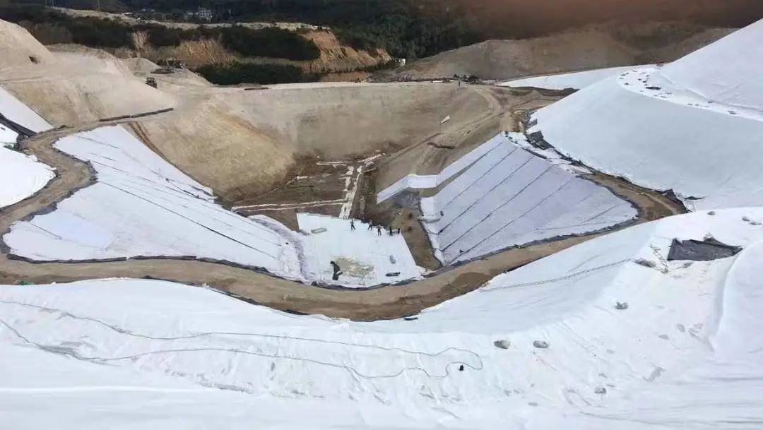 Remediation of tailings ponds