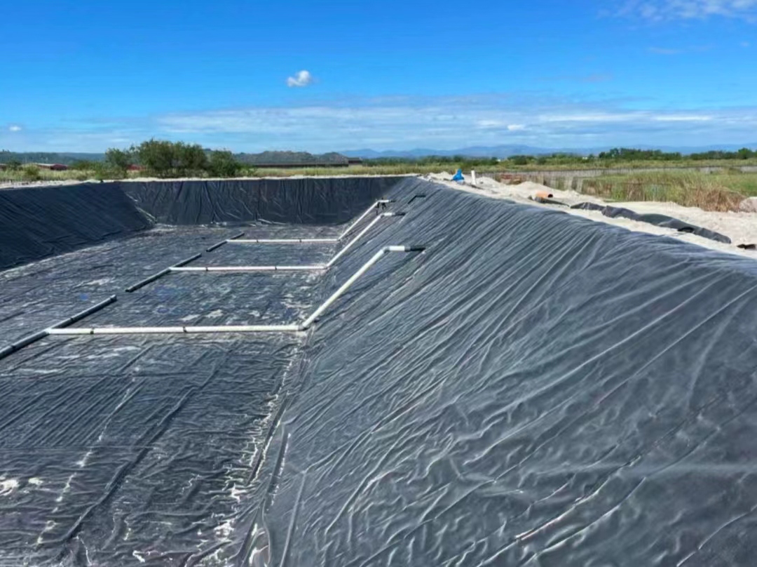 HDPE geomembrane