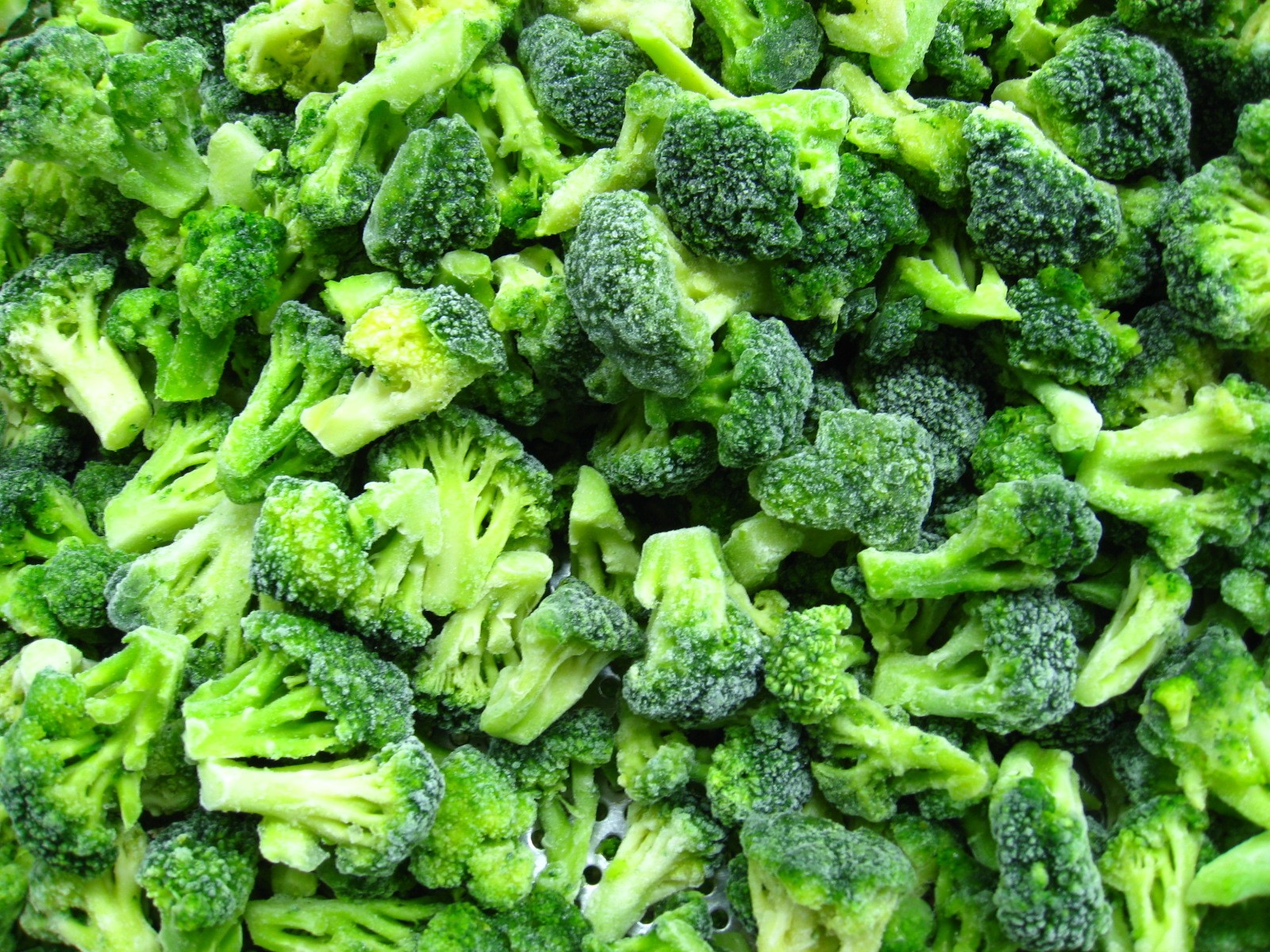IQF Frozen Orgainc Broccoli