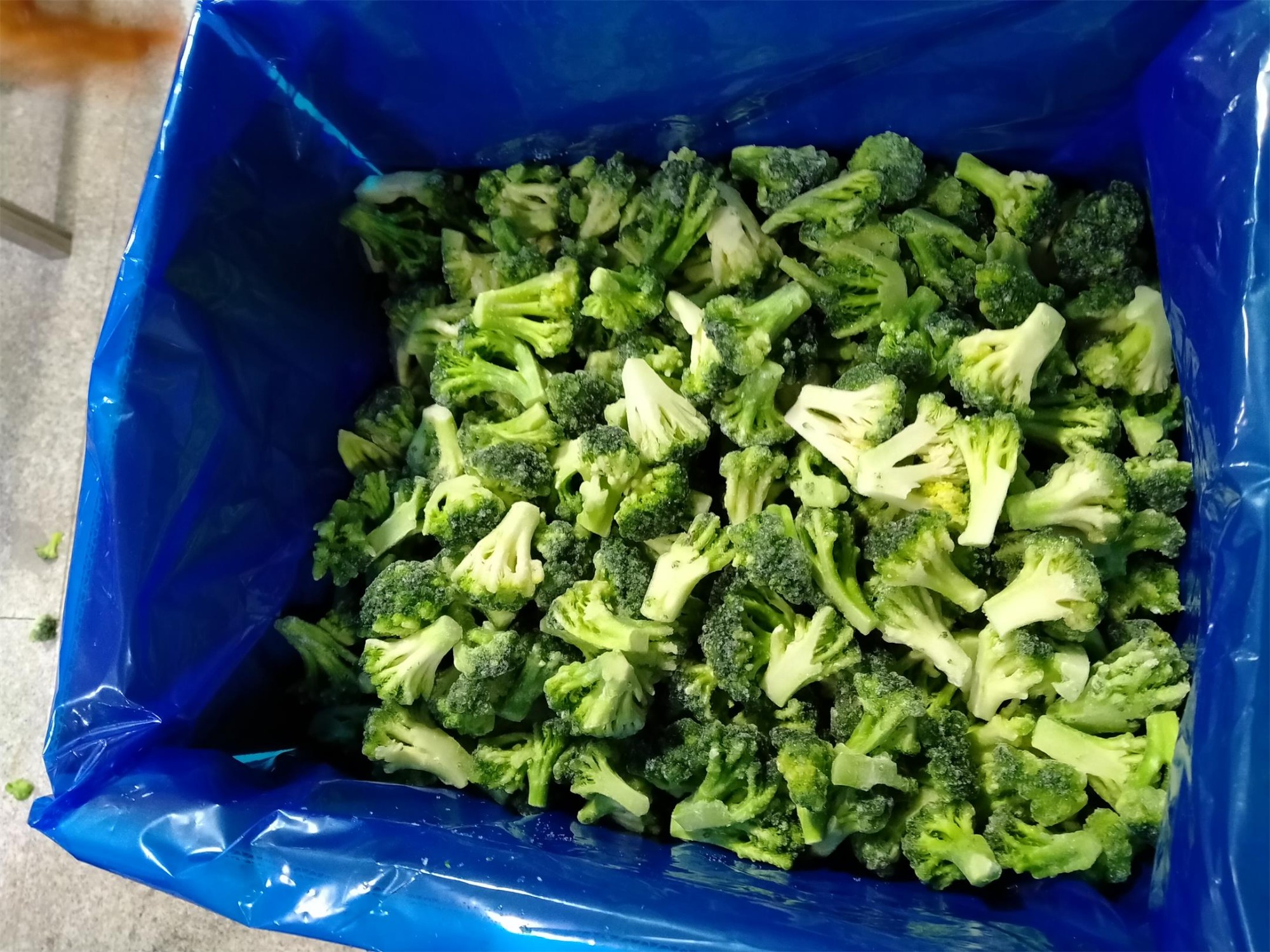 IQF Frozen Orgainc Broccoli
