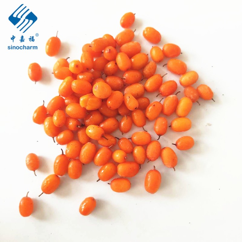 Kaufen IQF Frozen Seabuckthorn;IQF Frozen Seabuckthorn Preis;IQF Frozen Seabuckthorn Marken;IQF Frozen Seabuckthorn Hersteller;IQF Frozen Seabuckthorn Zitat;IQF Frozen Seabuckthorn Unternehmen