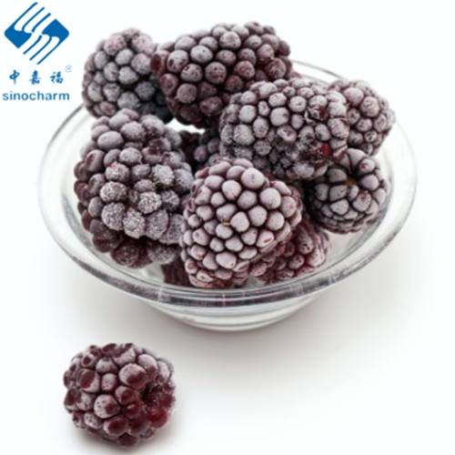 Acheter IQF Frozen Blackberry,IQF Frozen Blackberry Prix,IQF Frozen Blackberry Marques,IQF Frozen Blackberry Fabricant,IQF Frozen Blackberry Quotes,IQF Frozen Blackberry Société,