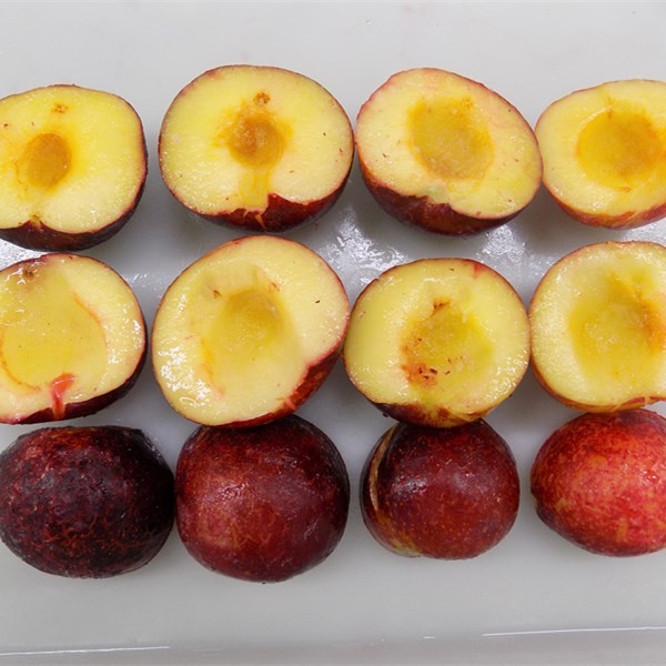 Kaufen IQF Frozen Plum;IQF Frozen Plum Preis;IQF Frozen Plum Marken;IQF Frozen Plum Hersteller;IQF Frozen Plum Zitat;IQF Frozen Plum Unternehmen