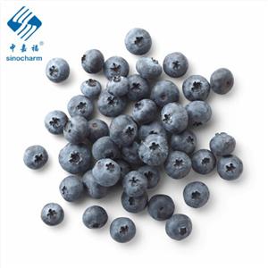 IQF Frozen Blueberry