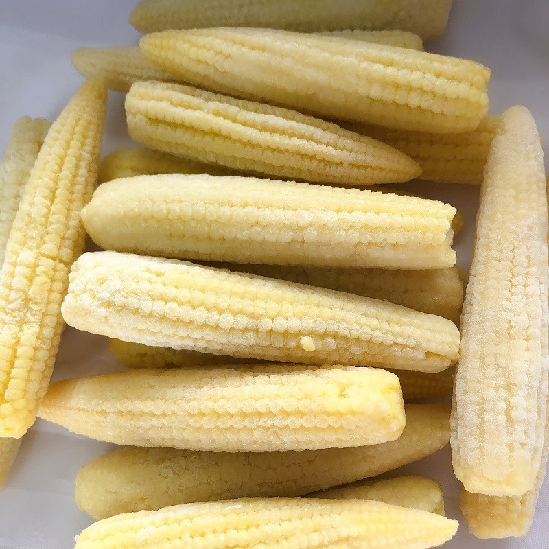 IQF Frozen Baby corn