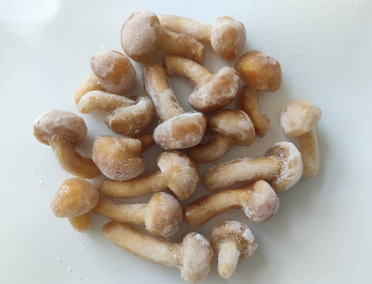 iqf frozen pholiota nameko