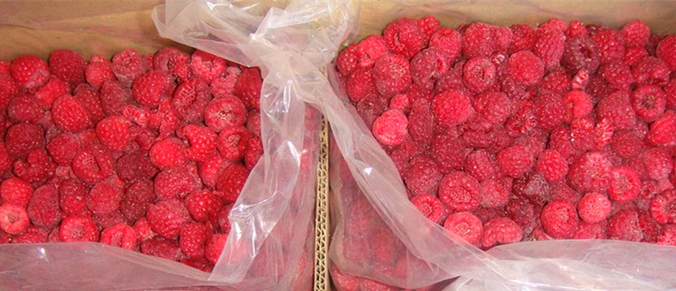 frozen organic raspberry whole