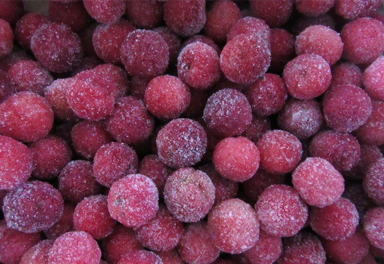 Waxberry surgelé IQF