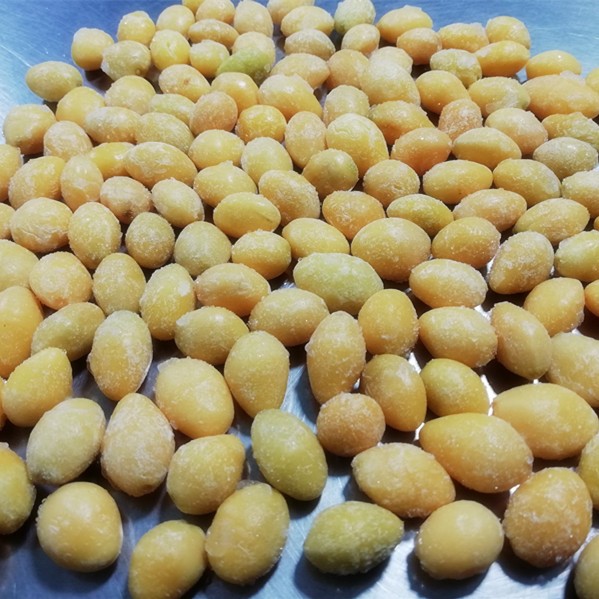 IQF Ginkgo Nut