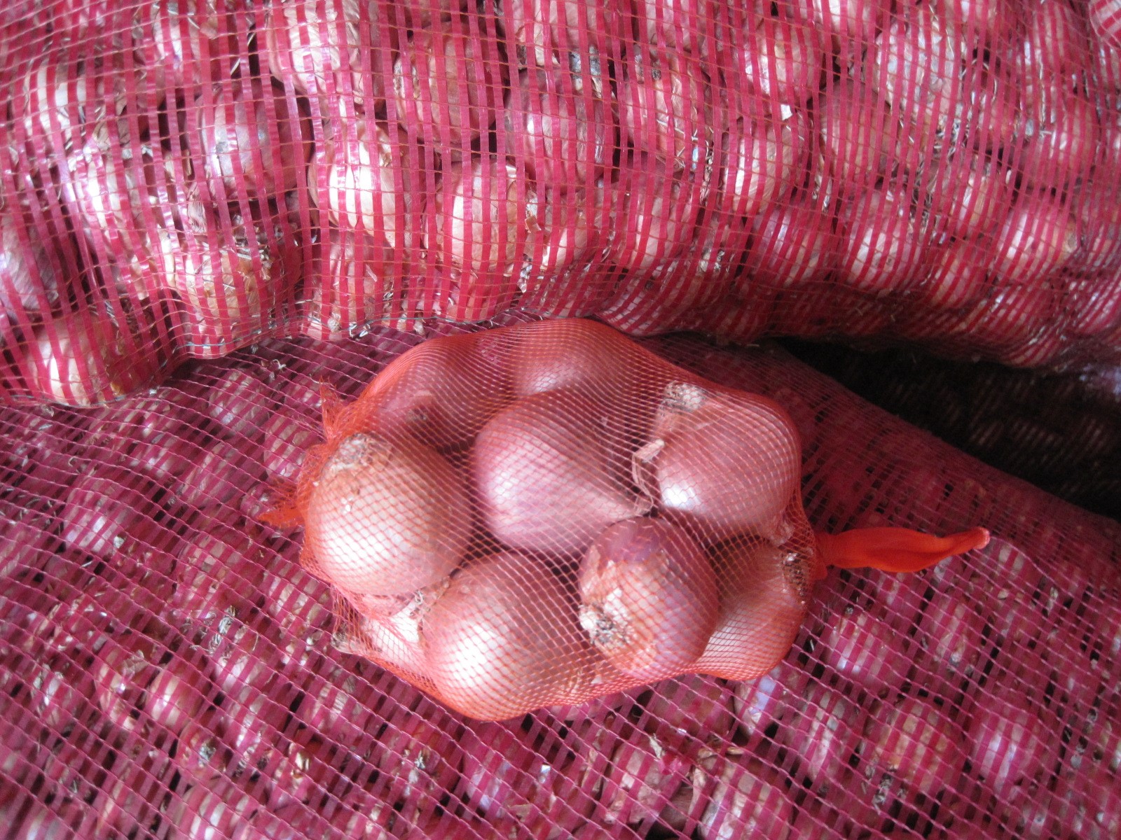 Frozen Shallot