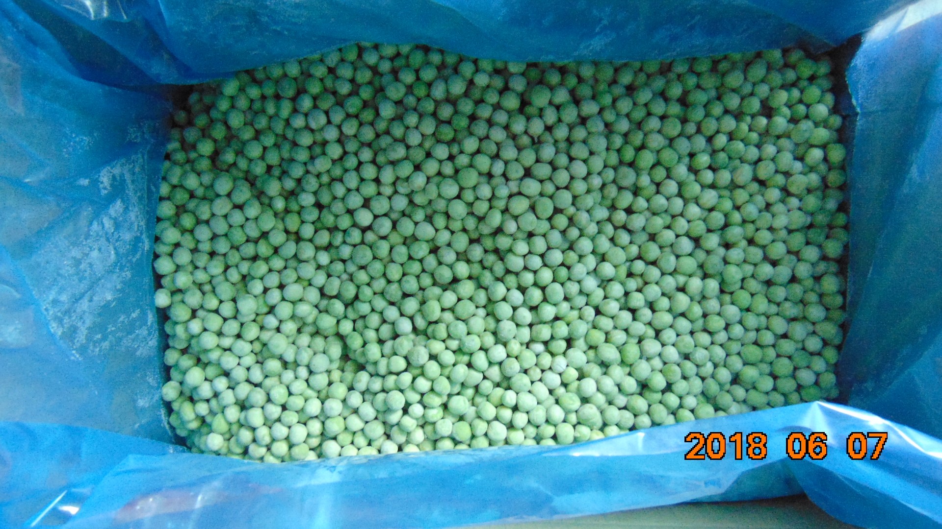 Kaufen IQF Frozen Green Pea;IQF Frozen Green Pea Preis;IQF Frozen Green Pea Marken;IQF Frozen Green Pea Hersteller;IQF Frozen Green Pea Zitat;IQF Frozen Green Pea Unternehmen