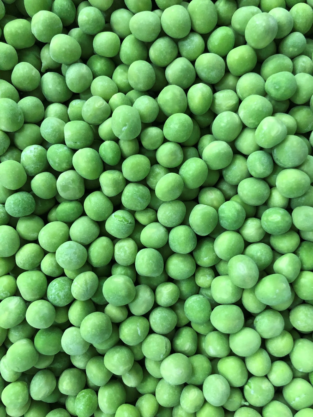 IQF Frozen Green Pea