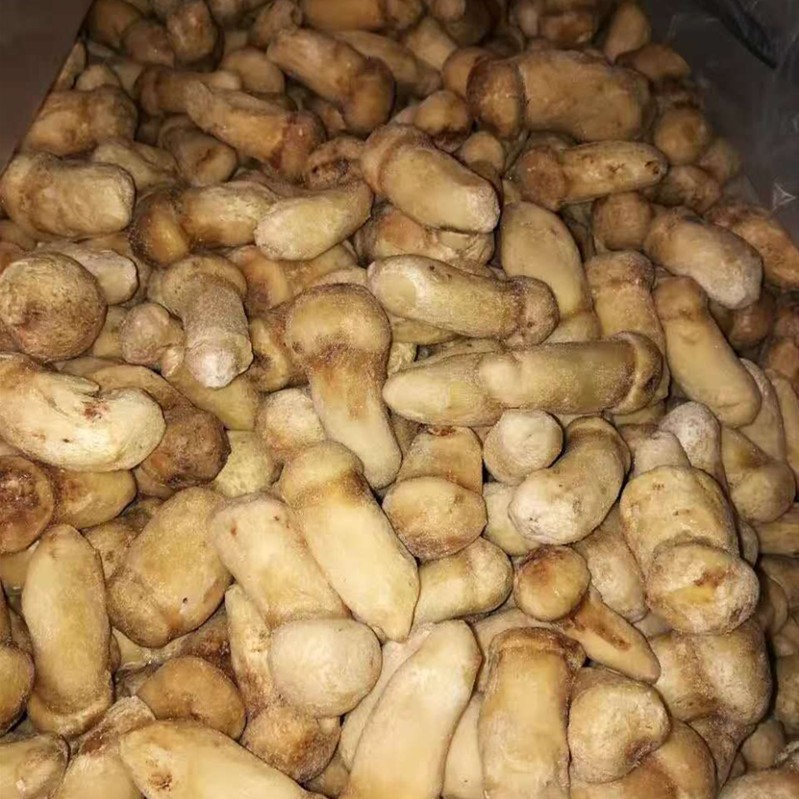 Kaufen Gefrorener Matsutake;Gefrorener Matsutake Preis;Gefrorener Matsutake Marken;Gefrorener Matsutake Hersteller;Gefrorener Matsutake Zitat;Gefrorener Matsutake Unternehmen