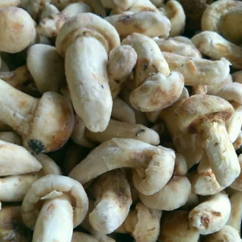 Kaufen Gefrorener Matsutake;Gefrorener Matsutake Preis;Gefrorener Matsutake Marken;Gefrorener Matsutake Hersteller;Gefrorener Matsutake Zitat;Gefrorener Matsutake Unternehmen