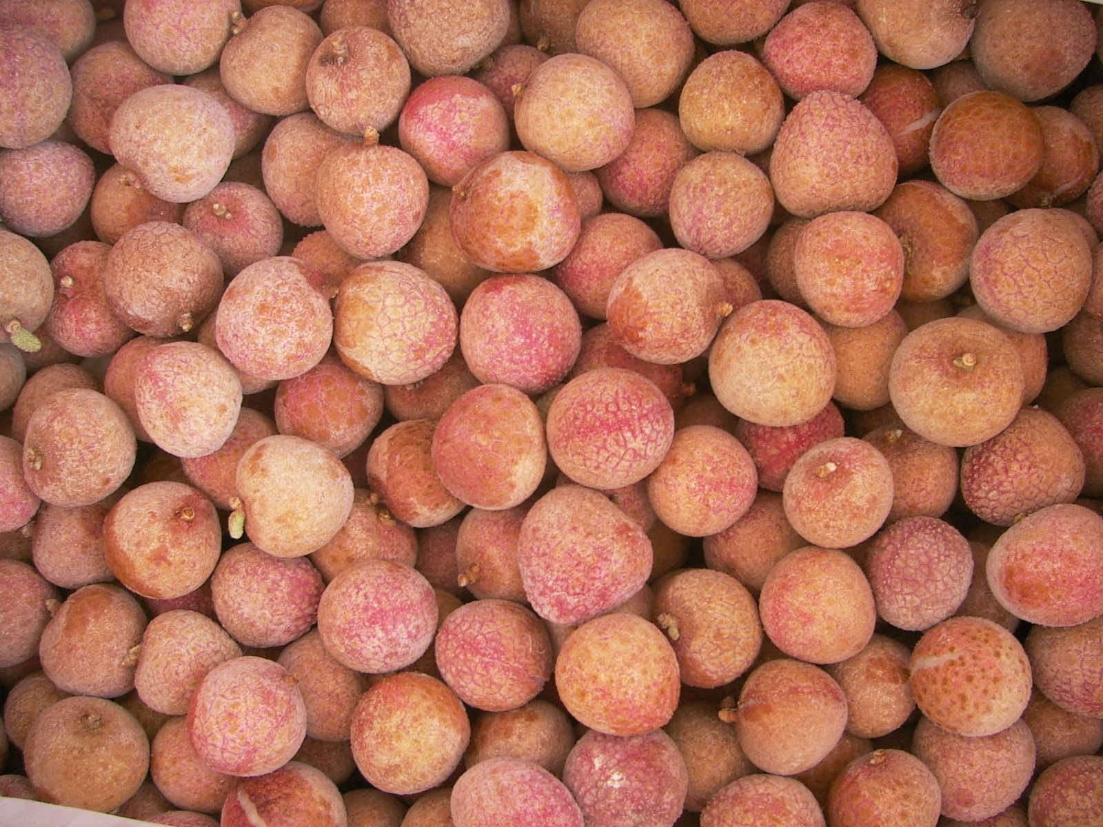 Acquista Litchi congelati IQF,Litchi congelati IQF prezzi,Litchi congelati IQF marche,Litchi congelati IQF Produttori,Litchi congelati IQF Citazioni,Litchi congelati IQF  l'azienda,