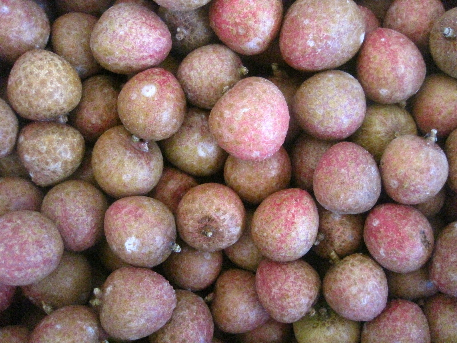 Litchi congelé certifié BRC entier