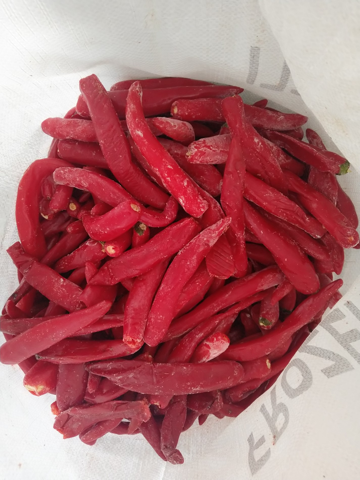 Acquista Peperoncino Jinta Congelato,Peperoncino Jinta Congelato prezzi,Peperoncino Jinta Congelato marche,Peperoncino Jinta Congelato Produttori,Peperoncino Jinta Congelato Citazioni,Peperoncino Jinta Congelato  l'azienda,