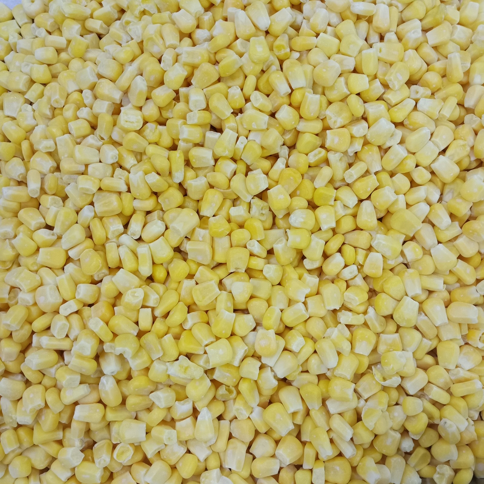 frozen sweet corn