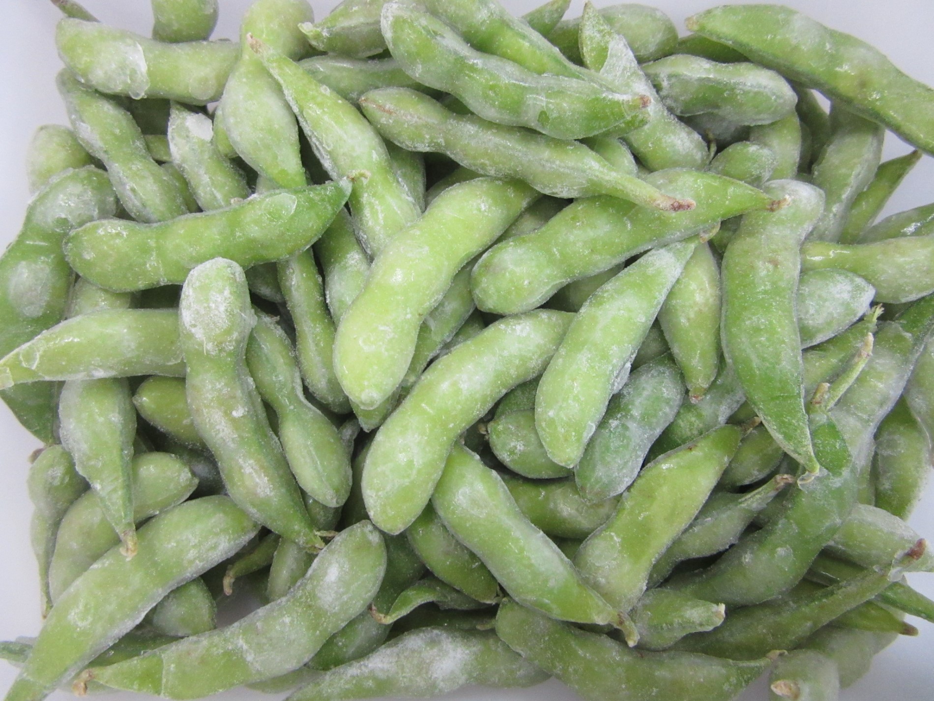 IQF Frozen Organic Edamame Beans