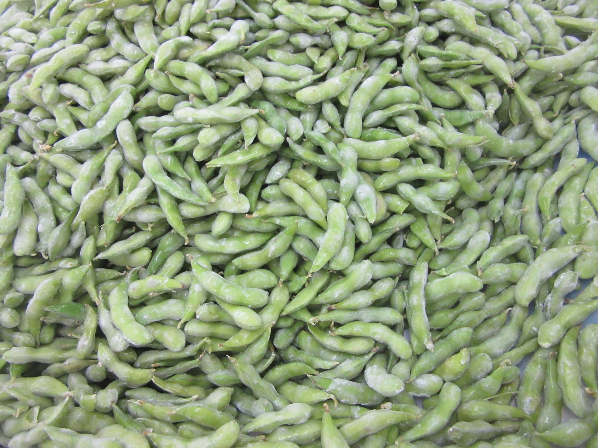 IQF Frozen Organic Edamame Beans