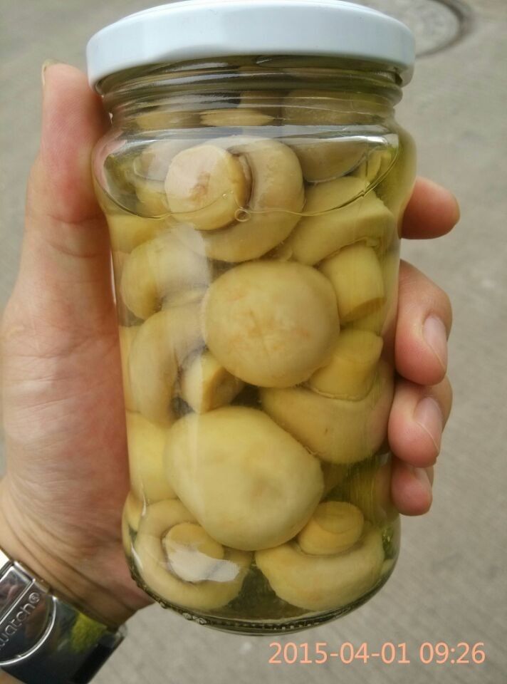 Canned Champignon Mushroom Whole