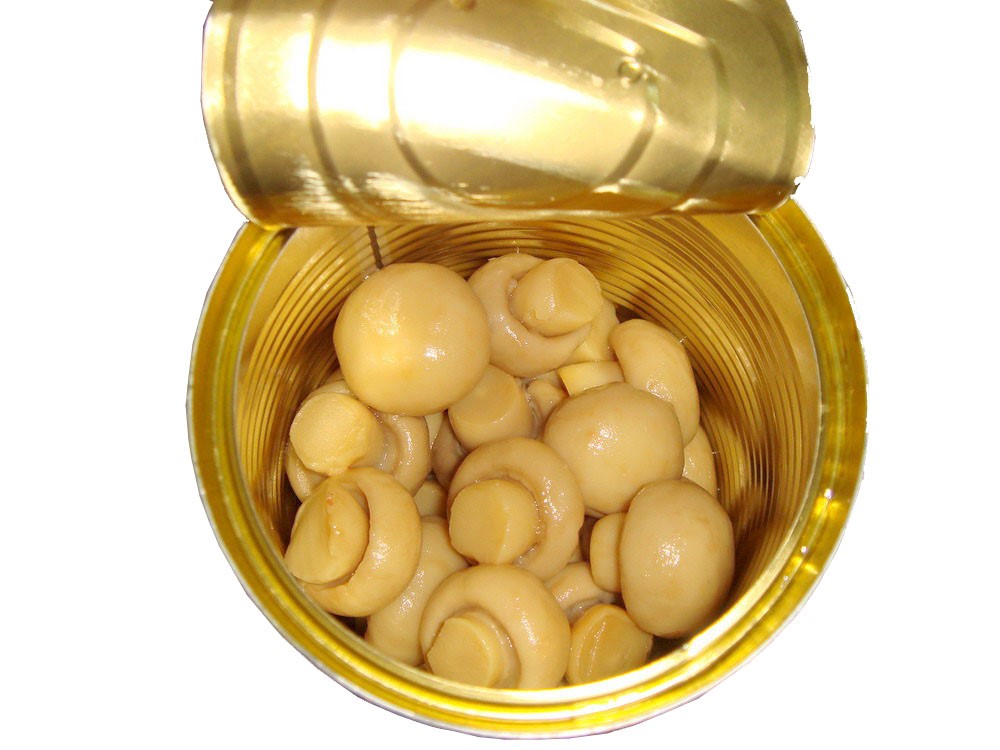 Canned Champignon Mushroom Whole