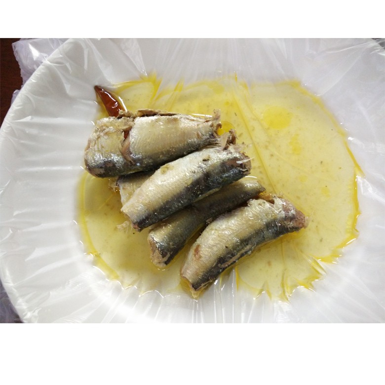 Canned sardine in oil