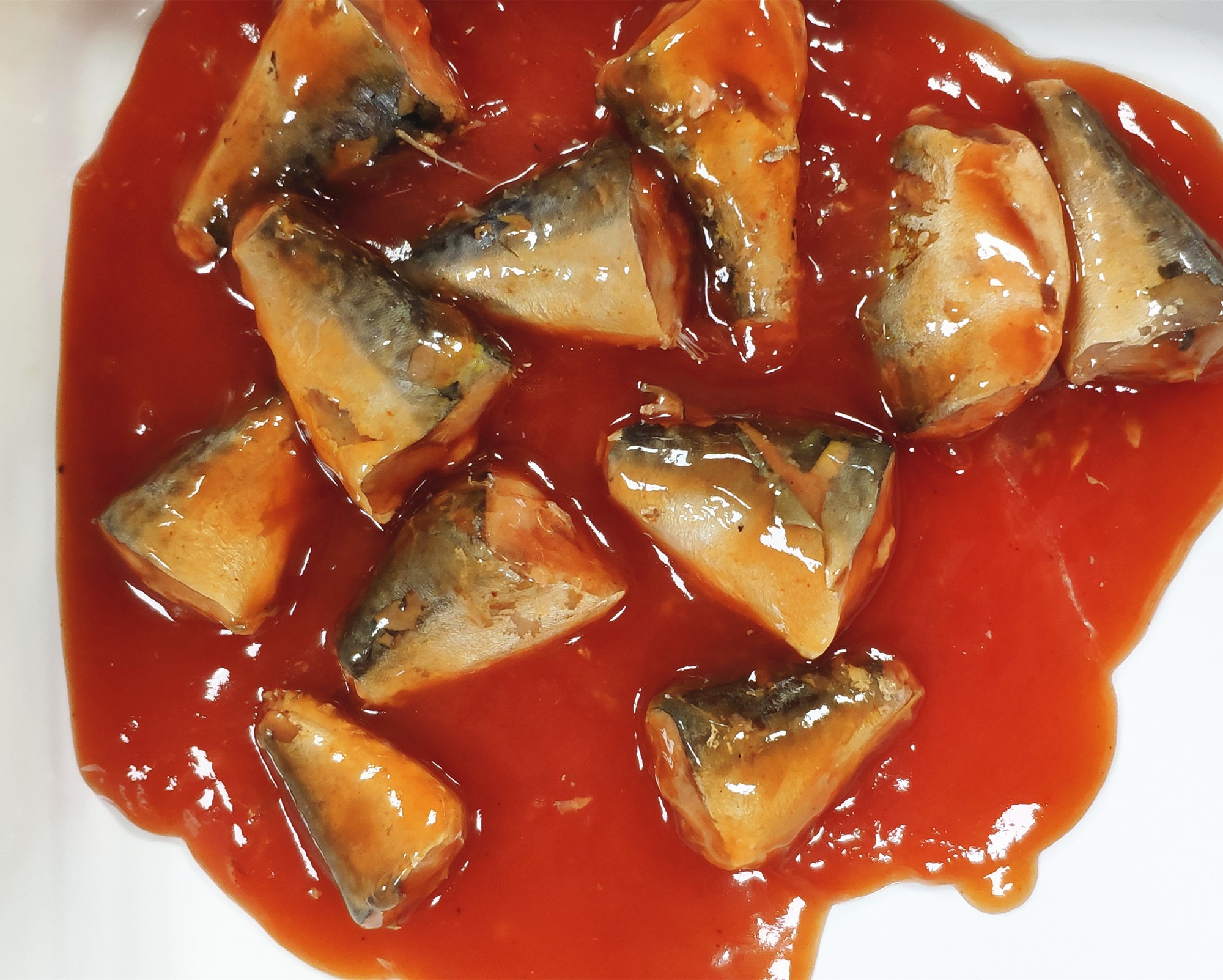 mackerel-canned-fish-mackerel-tomato-sauce-mackerel-tin-fish-price