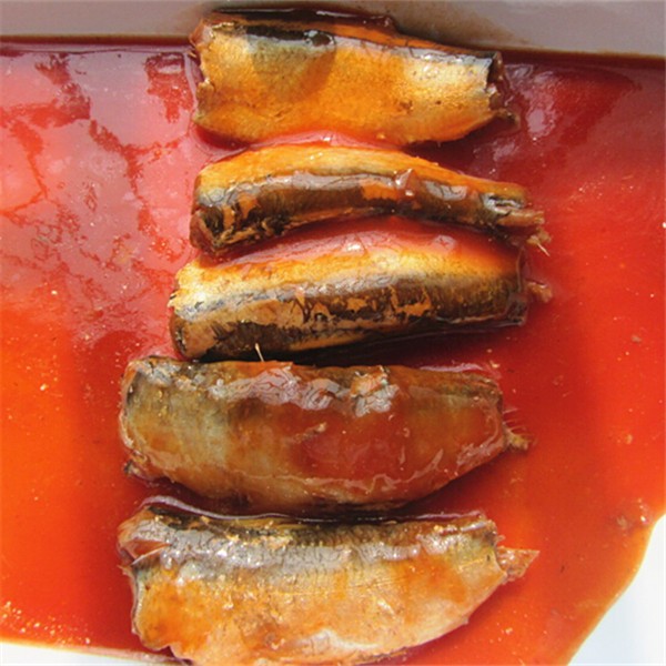 Canned mackerel in tomato sauce